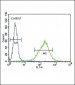 GABRA2 Antibody (C-term)