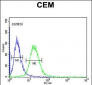 GABRA4 Antibody (Center)