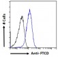 Goat Anti-58KGolgi protein(Internal)/FTCD Antibody