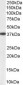 Goat Anti-Aldehyde Reductase Antibody