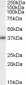 Goat Anti-Bisphosphate 3'-nucleotidase Antibody