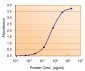 Goat Anti-COMT (internal) Antibody