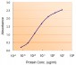 Goat Anti-DGAT2 Antibody