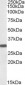 Goat Anti-Engrailed-2 Antibody