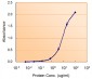 Goat Anti-G6PD (aa 308 - 320) Antibody