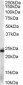 Goat Anti-GST3 / GSTP1 Antibody