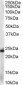 Goat Anti-GST3 / GSTP1 Antibody