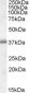 Goat Anti-LAT1 Antibody