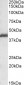 Goat Anti-LIS1 / PAFAH1B1 Antibody