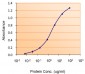 Goat Anti-LTF Antibody