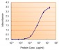 Goat Anti-MAOB Antibody