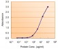 Goat Anti-MIF Antibody