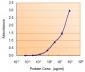 Goat Anti-MYD88 Antibody