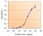 Goat Anti-NANOG (C Terminus) Antibody