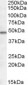 Goat Anti-OX1R and OX2R Antibody