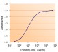 Goat Anti-PAI1 / SERPINE1 Antibody