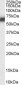 Goat Anti-PDIA2 / PDIP Antibody