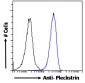 Goat Anti-Pleckstrin Antibody