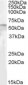 Goat Anti-PNPLA2 / ATGL Antibody