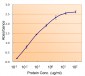 Goat Anti-RAD9A Antibody