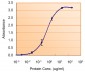 Goat Anti-SOD1 Antibody