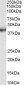 Goat Anti-VPS37C Antibody