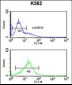 PKM2 Antibody (C-term L398)