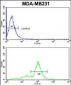 VGFR1 Antibody