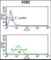 GPR50 Antibody (Center)