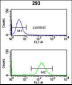 SMNDC1 Antibody (N-term)