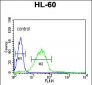 LIPE Antibody (C-term)