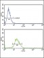 EXT2 Antibody (Center)