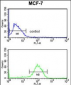 AGR3 Antibody (C-term)