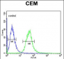 AMY1A Antibody (Center)