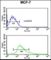 KRT1 Antibody (Center)