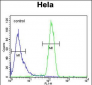 TMEM173 Antibody (C-term)