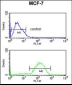 HSD11B2 Antibody (Center)