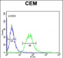 CA6 Antibody (C-term)