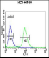 IDH3G Antibody (C-term)