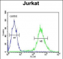 TM173 Antibody (C-term)