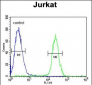 RNF8 Antibody