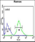 FCRL4 Antibody (C-term)