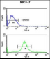 RT25 Antibody (C-term)