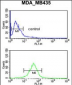 GPR17 Antibody (Center)