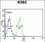 PGP Antibody (N-term)