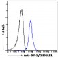 Goat Anti-BIF-1 / SH3GLB1 Antibody