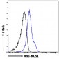 Goat Anti-NOS1 Antibody