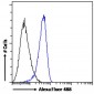 Goat Anti-MDA5 / IFIH1 Antibody