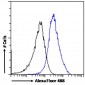 Goat Anti-RANBP1 Antibody