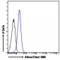 Goat Anti-VAV3 Antibody